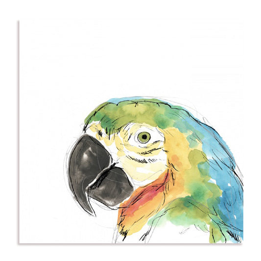 Tropical Bird Portrait I Wall Art