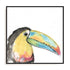 Tropical Bird Portrait II Wall Art