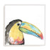 Tropical Bird Portrait II Wall Art