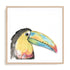 Tropical Bird Portrait II Wall Art