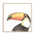 Tropical Bird Portrait III Wall Art