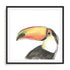 Tropical Bird Portrait III Wall Art