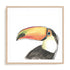 Tropical Bird Portrait III Wall Art