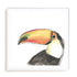 Tropical Bird Portrait III Wall Art