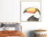 Tropical Bird Portrait III Wall Art