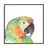 Tropical Bird Portrait IV Wall Art