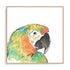 Tropical Bird Portrait IV Wall Art