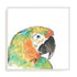 Tropical Bird Portrait IV Wall Art