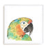 Tropical Bird Portrait IV Wall Art