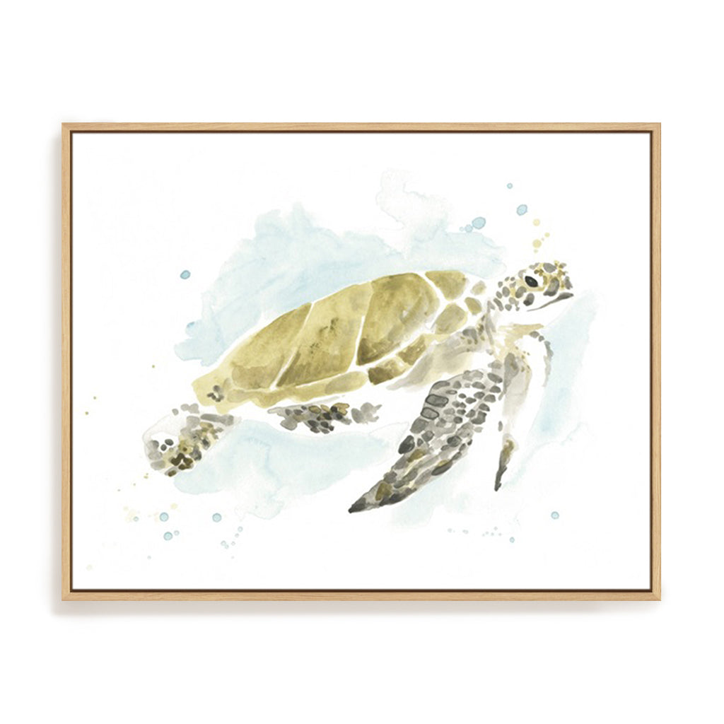 Watercolor Sea Turtle Study I
