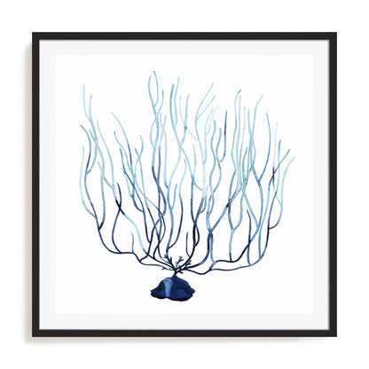 Fan de la Mer I