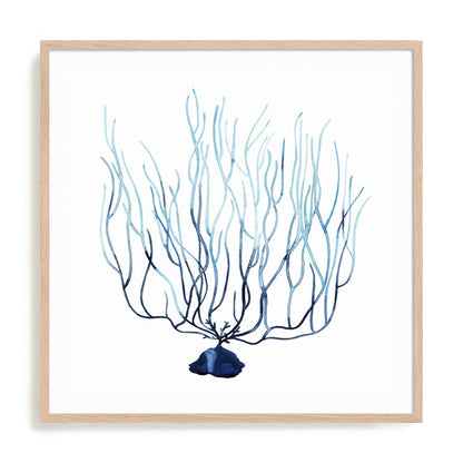 Fan de la Mer I
