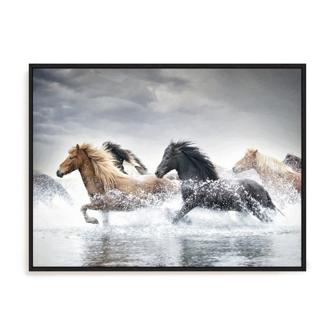 Horse Run V