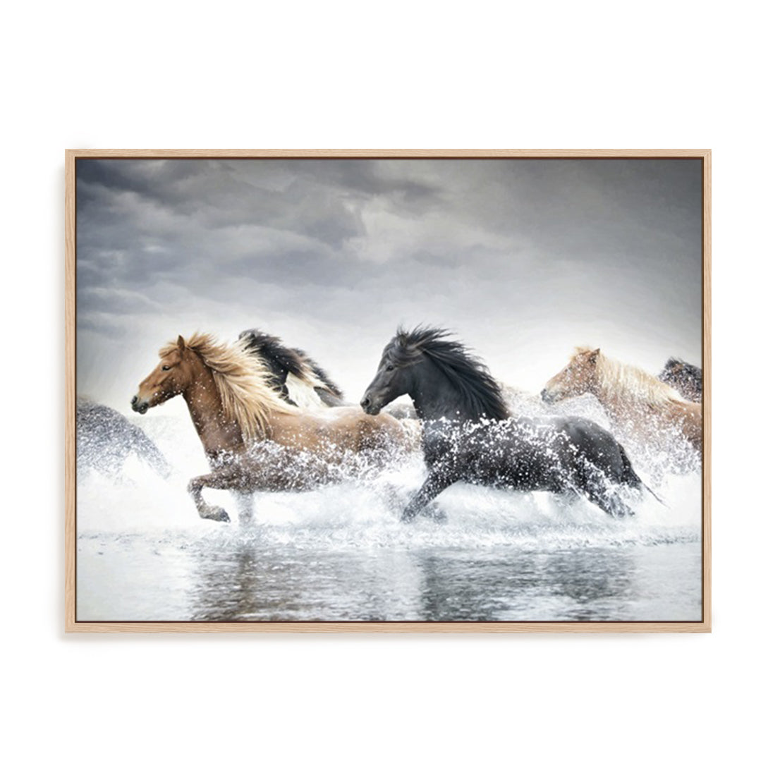 Horse Run V