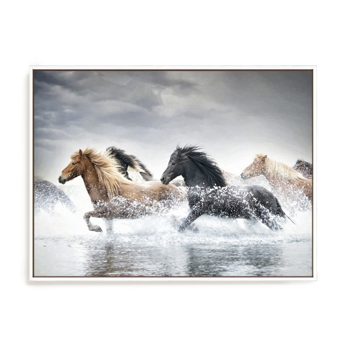 Horse Run V