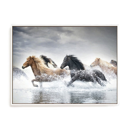 Horse Run V