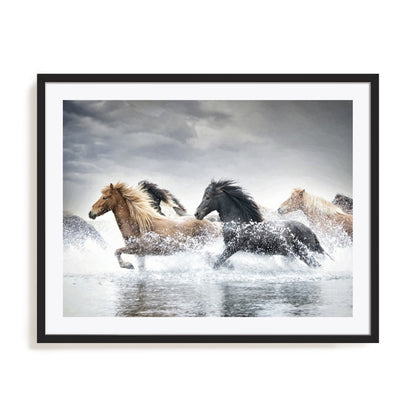 Horse Run V