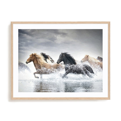 Horse Run V
