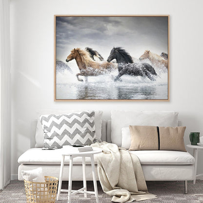 Horse Run V