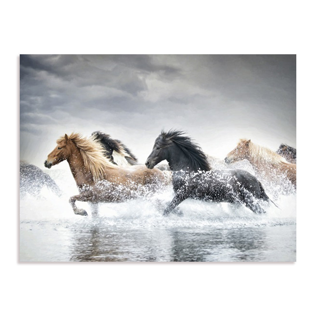 Horse Run V