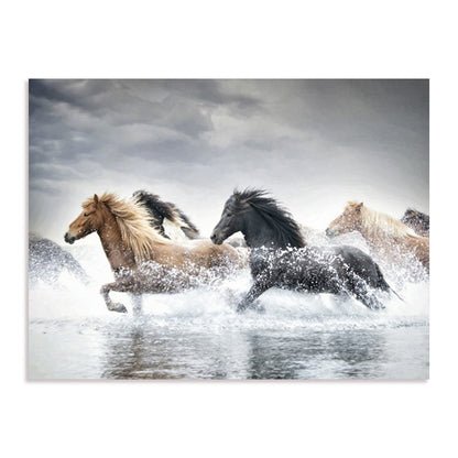 Horse Run V