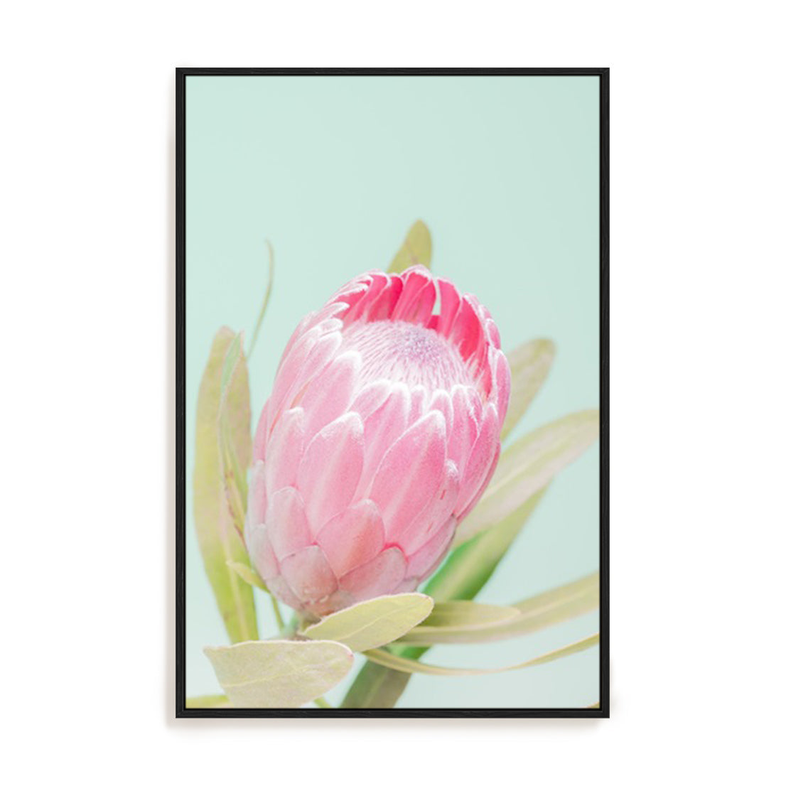 Sun Drenched Blossom I
