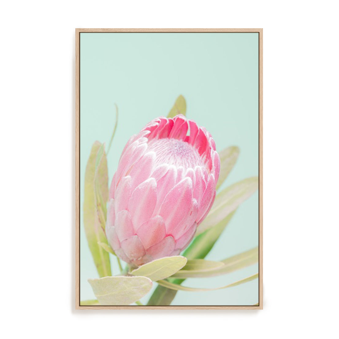Sun Drenched Blossom I