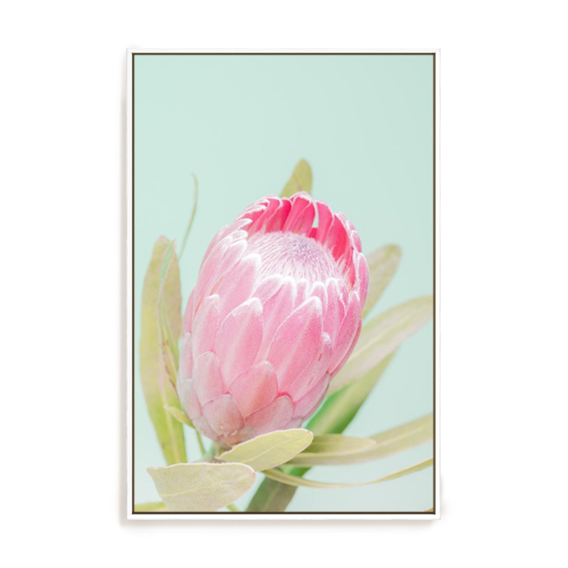 Sun Drenched Blossom I