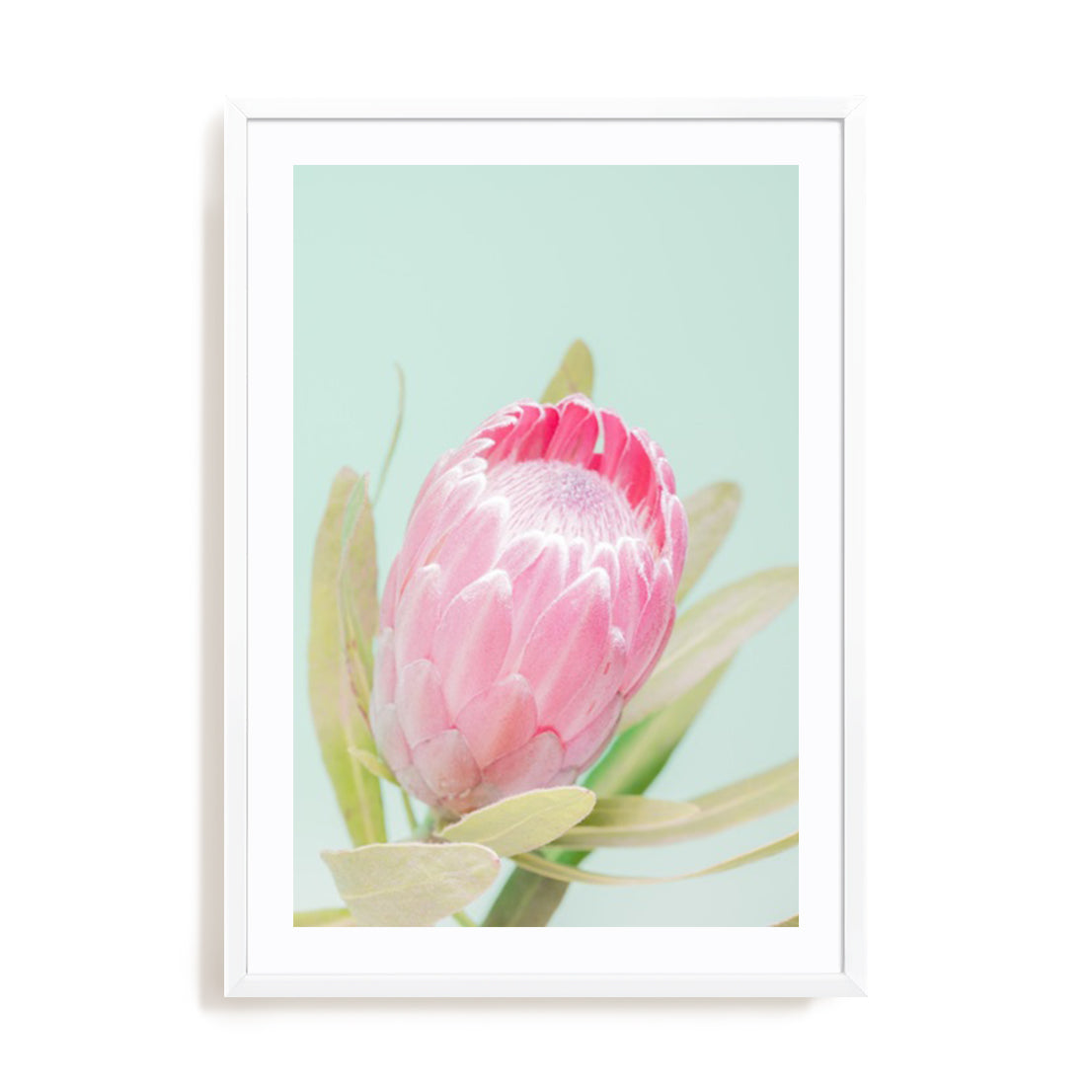 Sun Drenched Blossom I