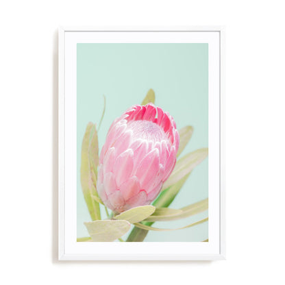 Sun Drenched Blossom I
