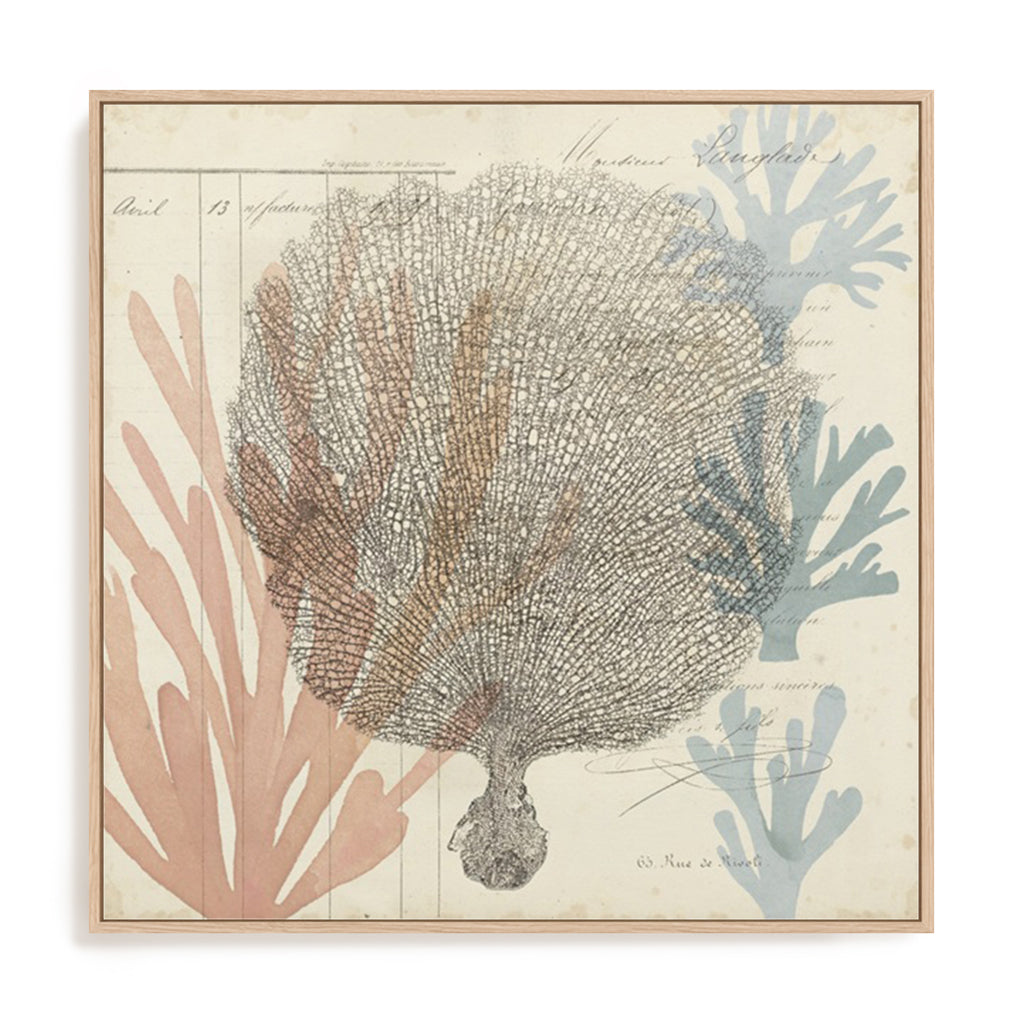 Sea Ephemera I