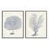 Antique Coral Collection I and II Wall Art