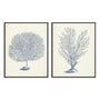 Antique Coral Collection I and II Wall Art
