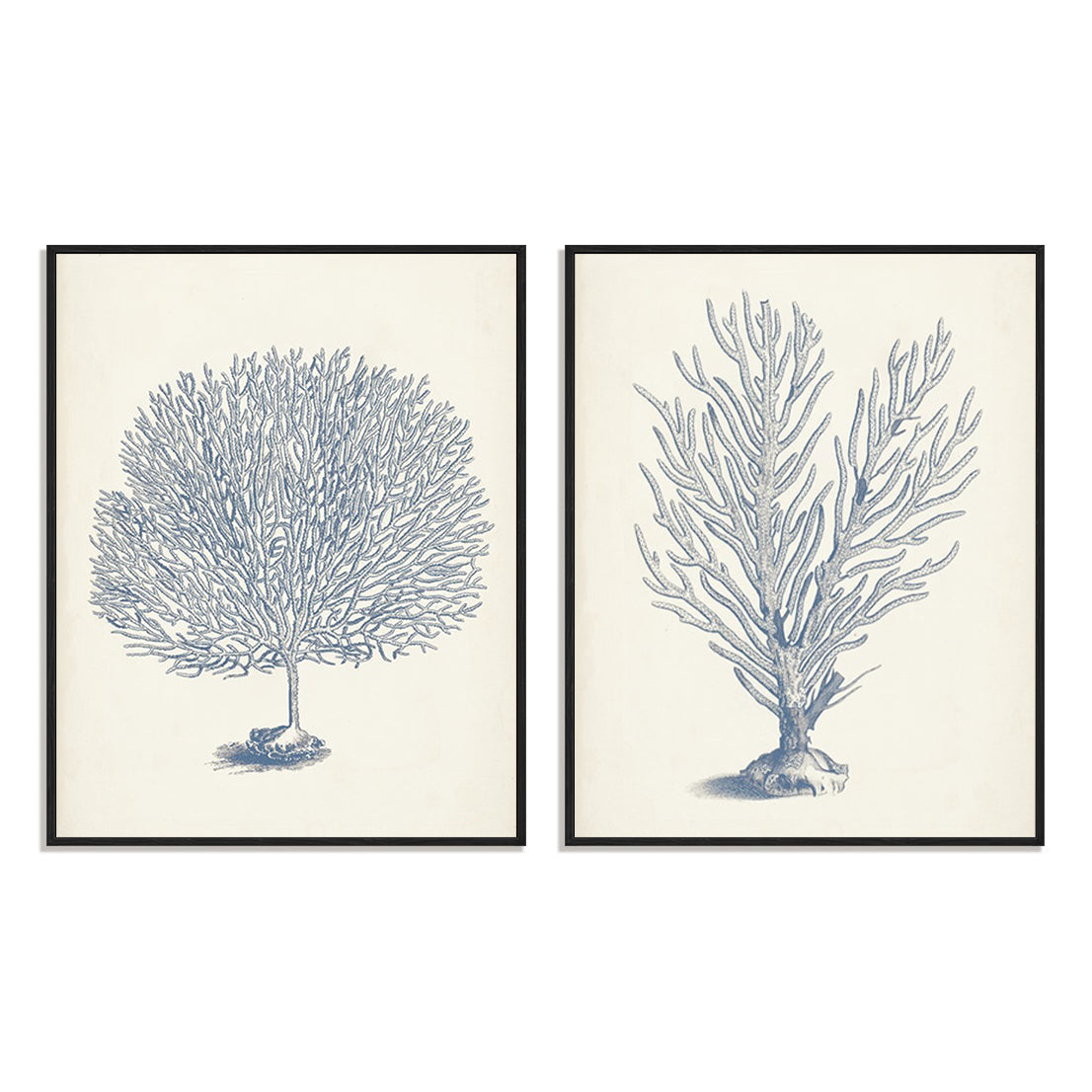 Antique Coral Collection I and II Wall Art