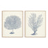 Antique Coral Collection I and II Wall Art