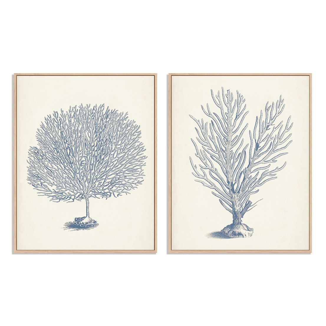 Antique Coral Collection I and II Wall Art
