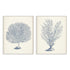 Antique Coral Collection I and II Wall Art