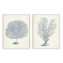 Antique Coral Collection I and II Wall Art