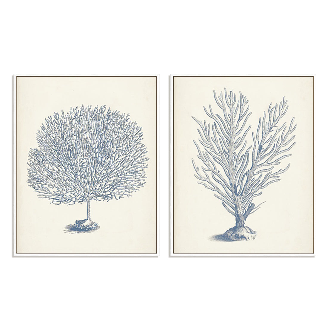 Antique Coral Collection I and II Wall Art