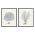 Antique Coral Collection I and II Wall Art
