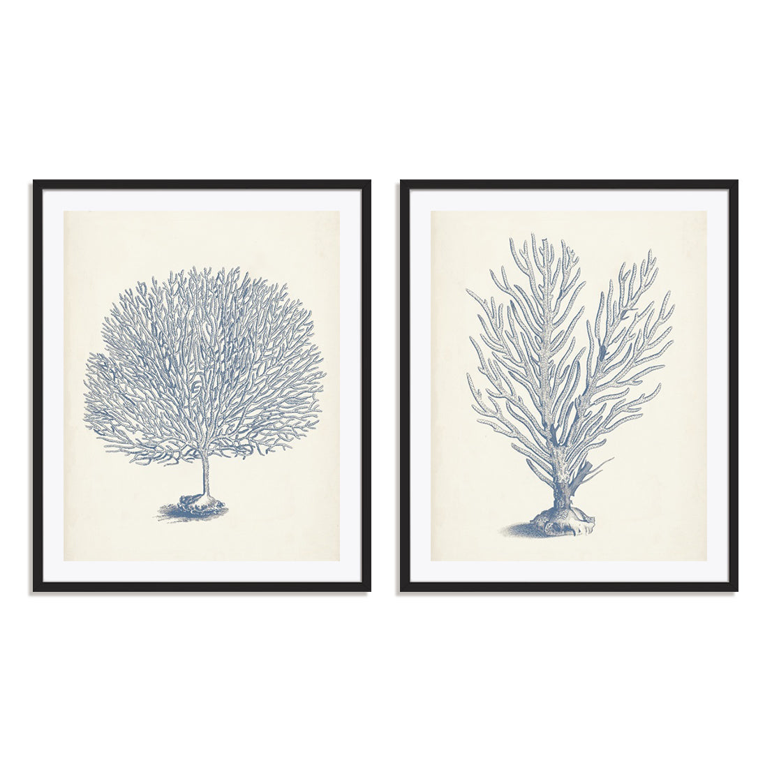 Antique Coral Collection I and II Wall Art