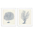 Antique Coral Collection I and II Wall Art