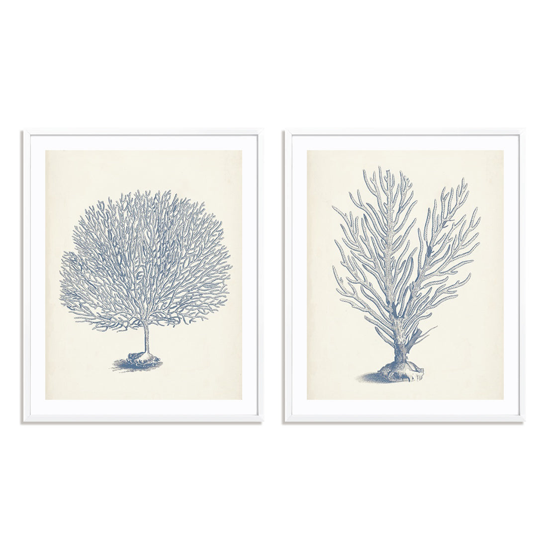 Antique Coral Collection I and II Wall Art
