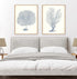 Antique Coral Collection I and II Wall Art