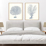 Antique Coral Collection I and II Wall Art