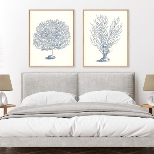 Antique Coral Collection I and II Wall Art