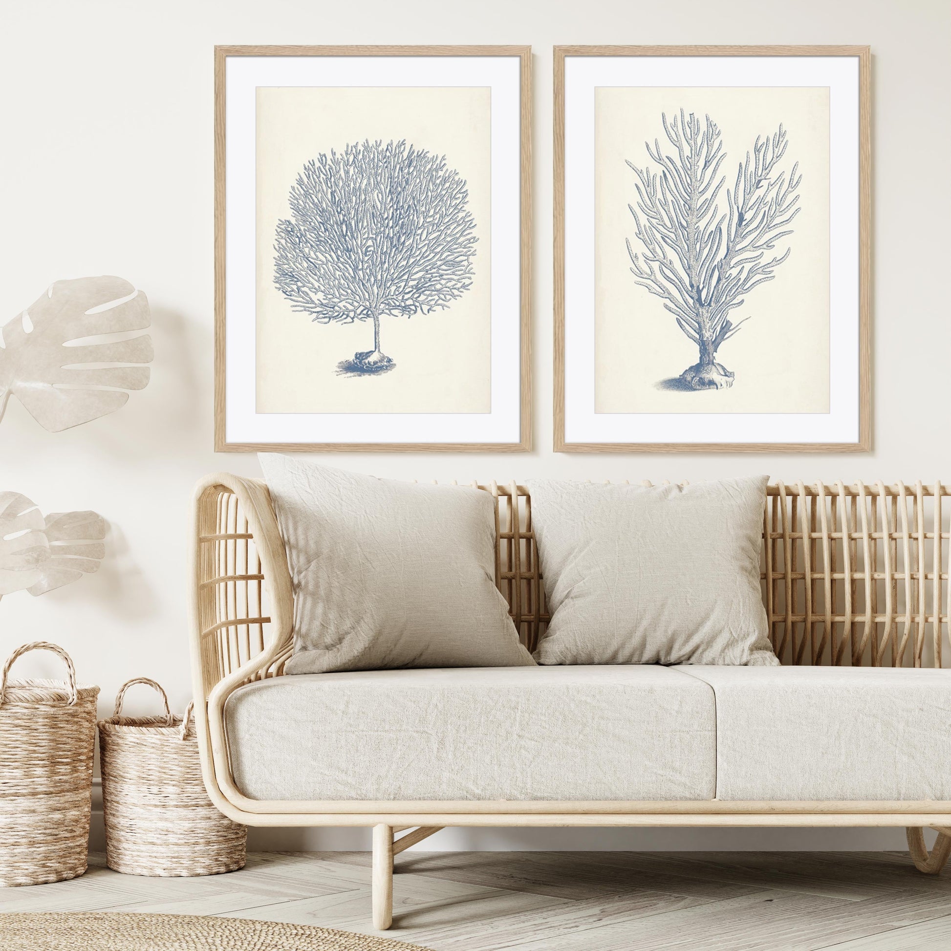Antique Coral Collection I and II Wall Art