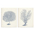 Antique Coral Collection I and II Wall Art