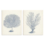 Antique Coral Collection I and II Wall Art