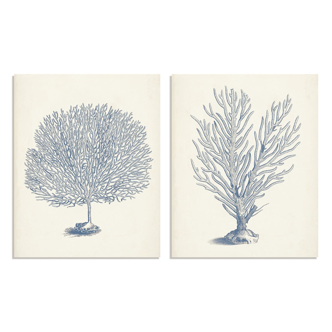 Antique Coral Collection I and II Wall Art